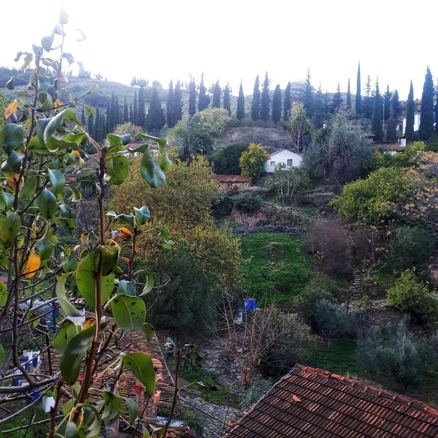 Sirince Dogadaki Evler Hotel Selçuk Buitenkant foto